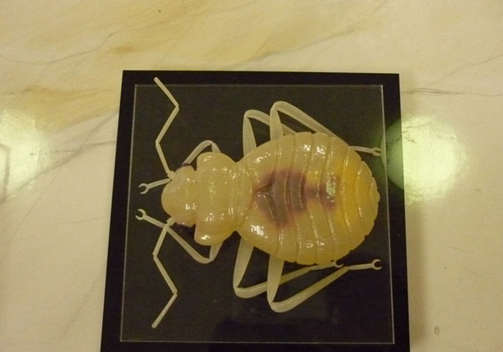 P1020878